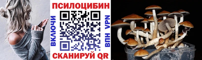 MEGA tor  Бологое  Псилоцибиновые грибы мицелий  купить  сайты 